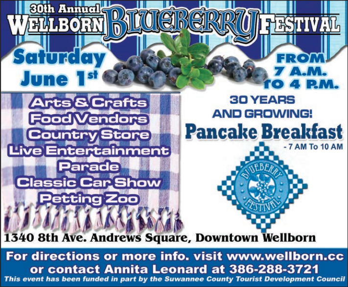 Blueberry festival flyer