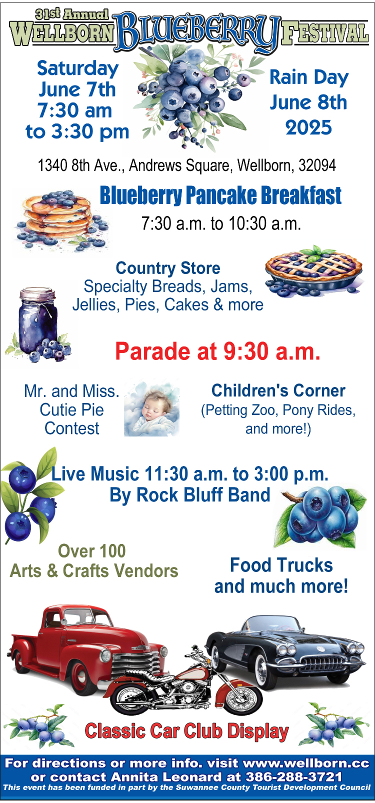 Blueberry festival flyer