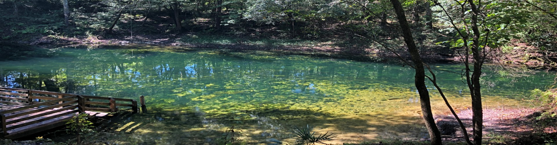 Falmouth Springs