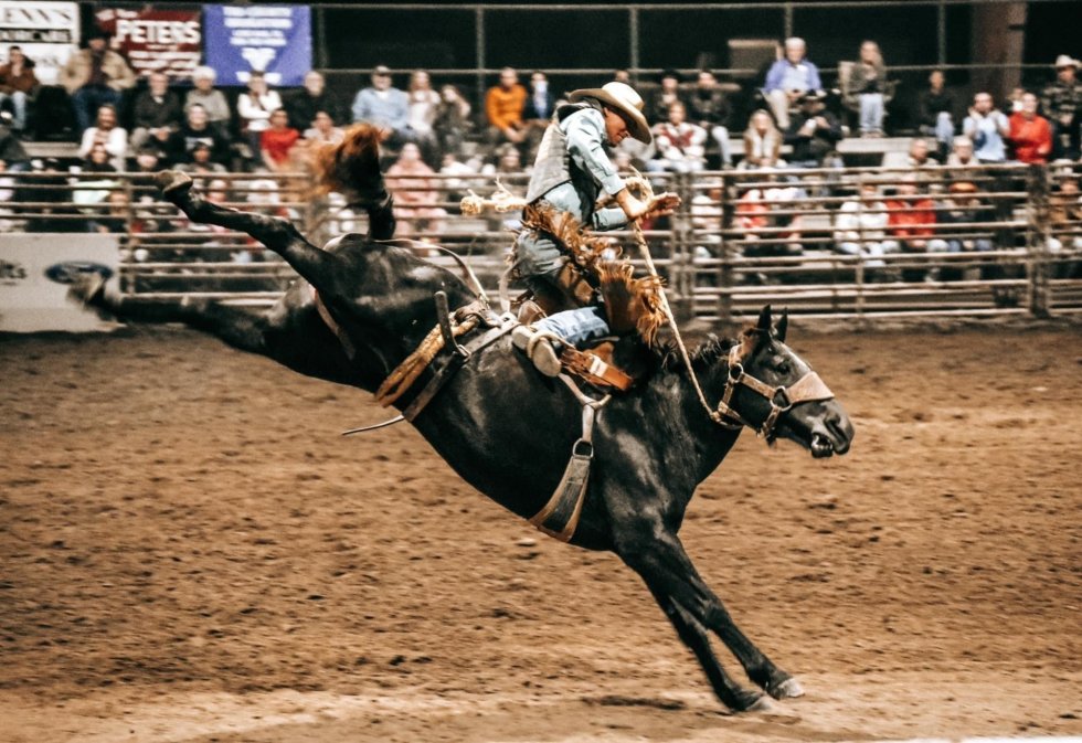 Cowboy riding horse in the rodeo arena