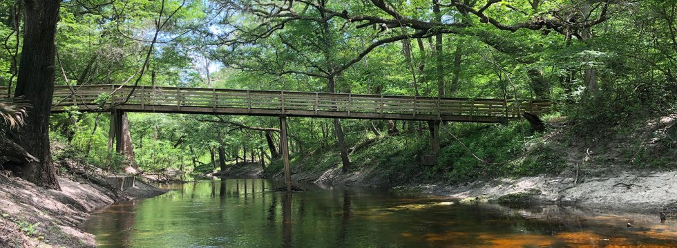 How to Hike the Suwannee River Trail and Other Hotspots: A Guide