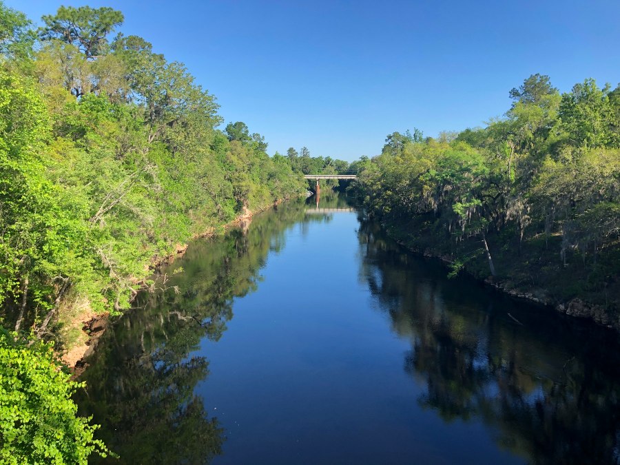 View of the Suwannee River from the Suwannee Springs bridge