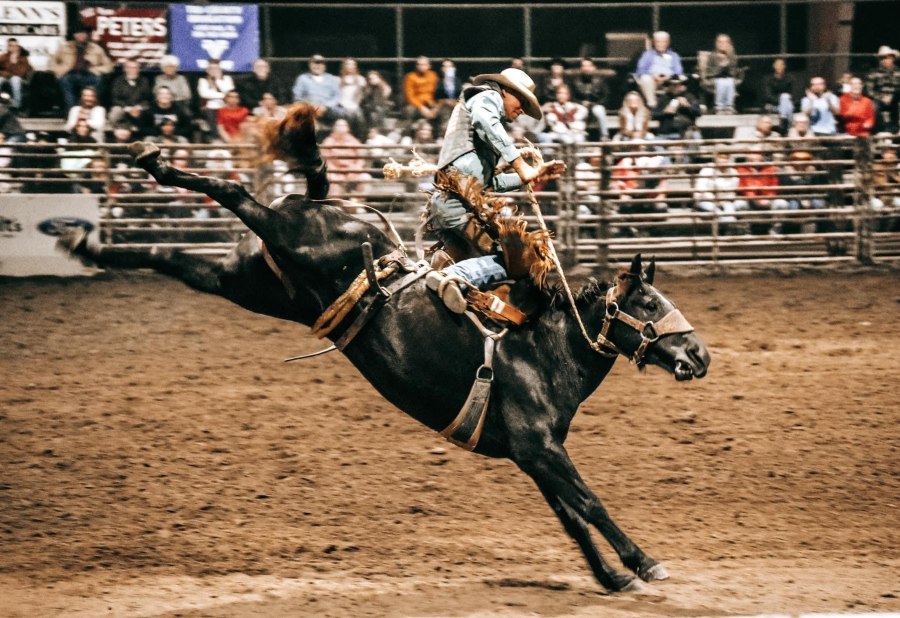 Cowboy rides horse at rodeo