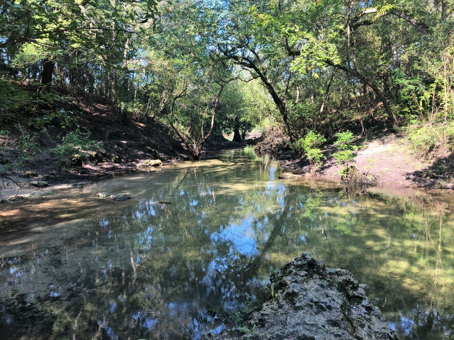 Charles Spring in Live Oak, Florida, is a historic natural spring with crystal-clear blue-green waters, surrounded by lush greenery and a sandy shoreline.