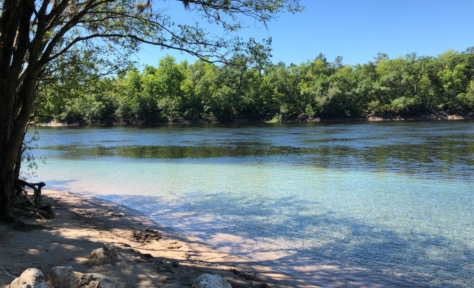 Off the Beaten Path Natural Springs in Florida