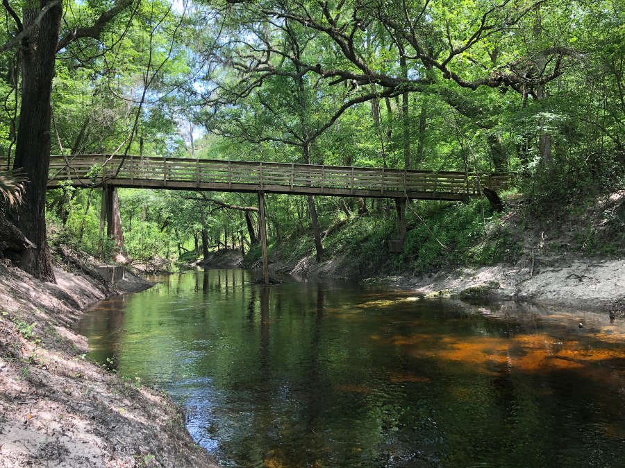 Lime Sink Run flows through the thick surrounding forest and beneath a footbridge in Suwannee River State Park.