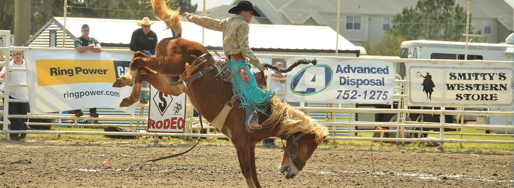 Saddle Up for Florida’s Top Rodeo