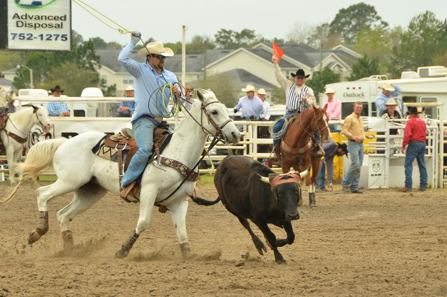 A cowboy throws a lasso toward a young bull at the Suwannee River Riding Club Rodeo in Branford, Florida. 