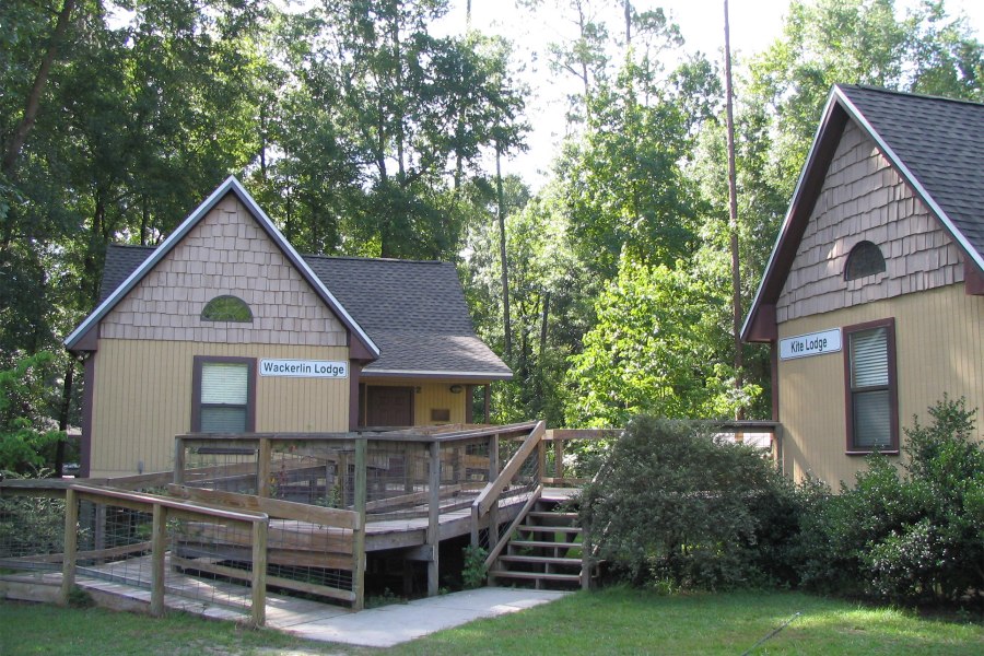 Two wood cabins stand amid a lush green forest at Camp Suwannee Lodges, a popular Christian camp in Suwannee County, Florida.