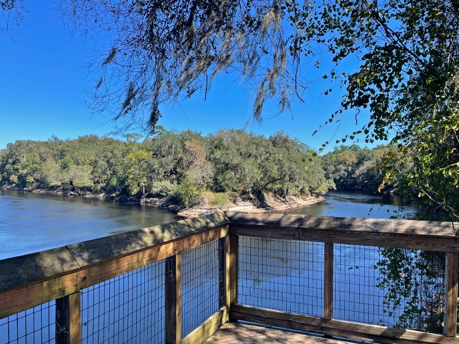 A scenic overlook shows the beauty of the nature surrounding the Suwannee River.