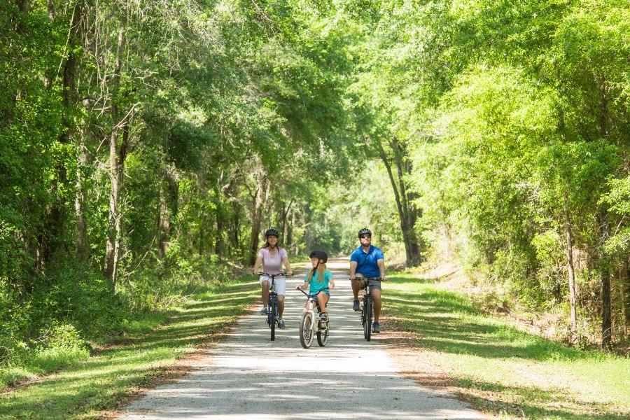 Family biking on a scenic, tree-lined trail in Suwannee County, Florida, enjoying the mild weather and lush surroundings.