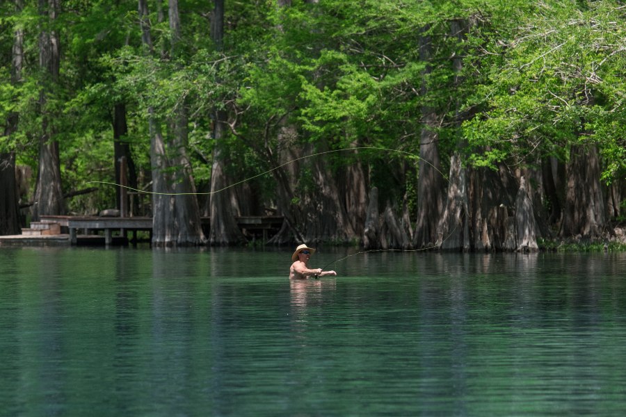 Local fly fisherman stands chest deep in the waters of the Suwannee River casting a line.