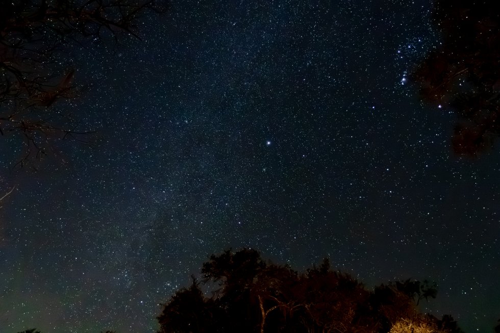 Discover Suwannee County's Dark Sky Wonders