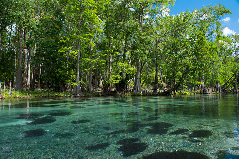 Crystal-clear water shows the shallow entrance to Ichetucknee Springs State Park.