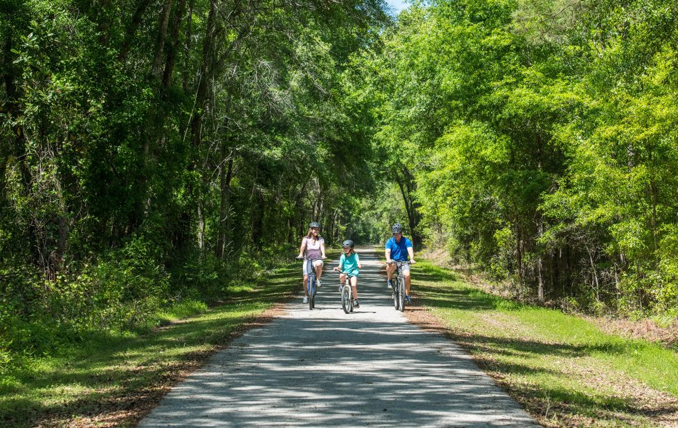 Top 8 Fun Things to Do with Kids in Suwannee County