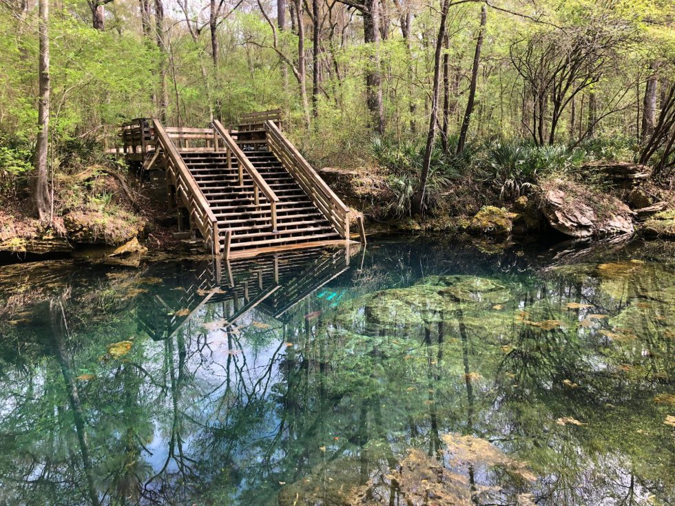 peacock springs
