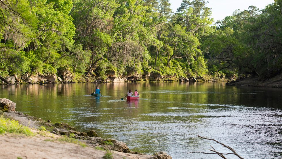 Suwannee river 