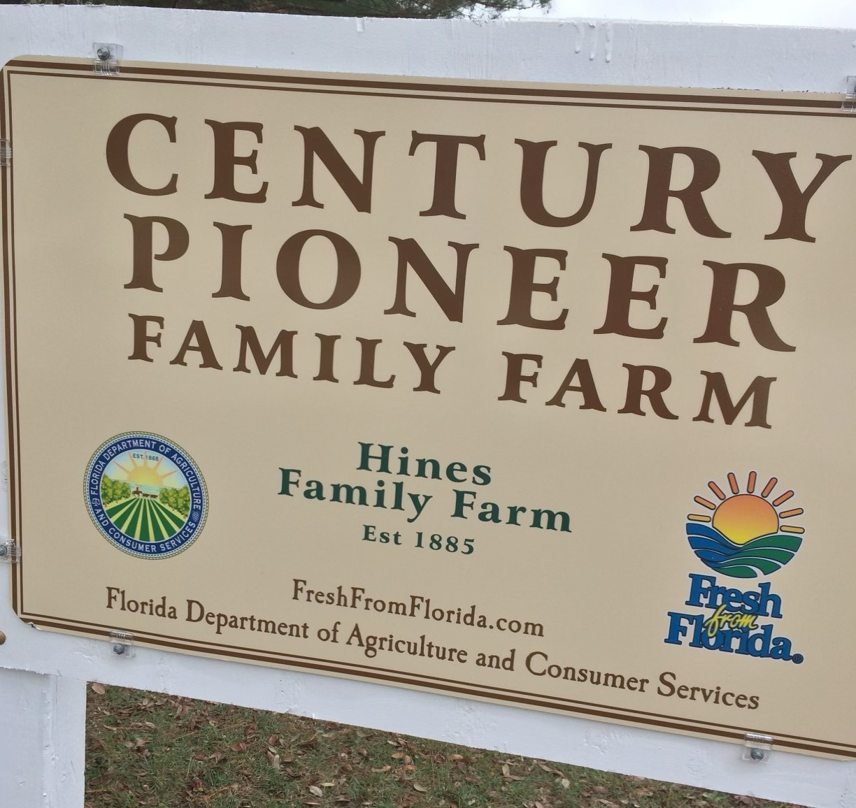 Ribbon Cutting & Grand Opening Ceremony