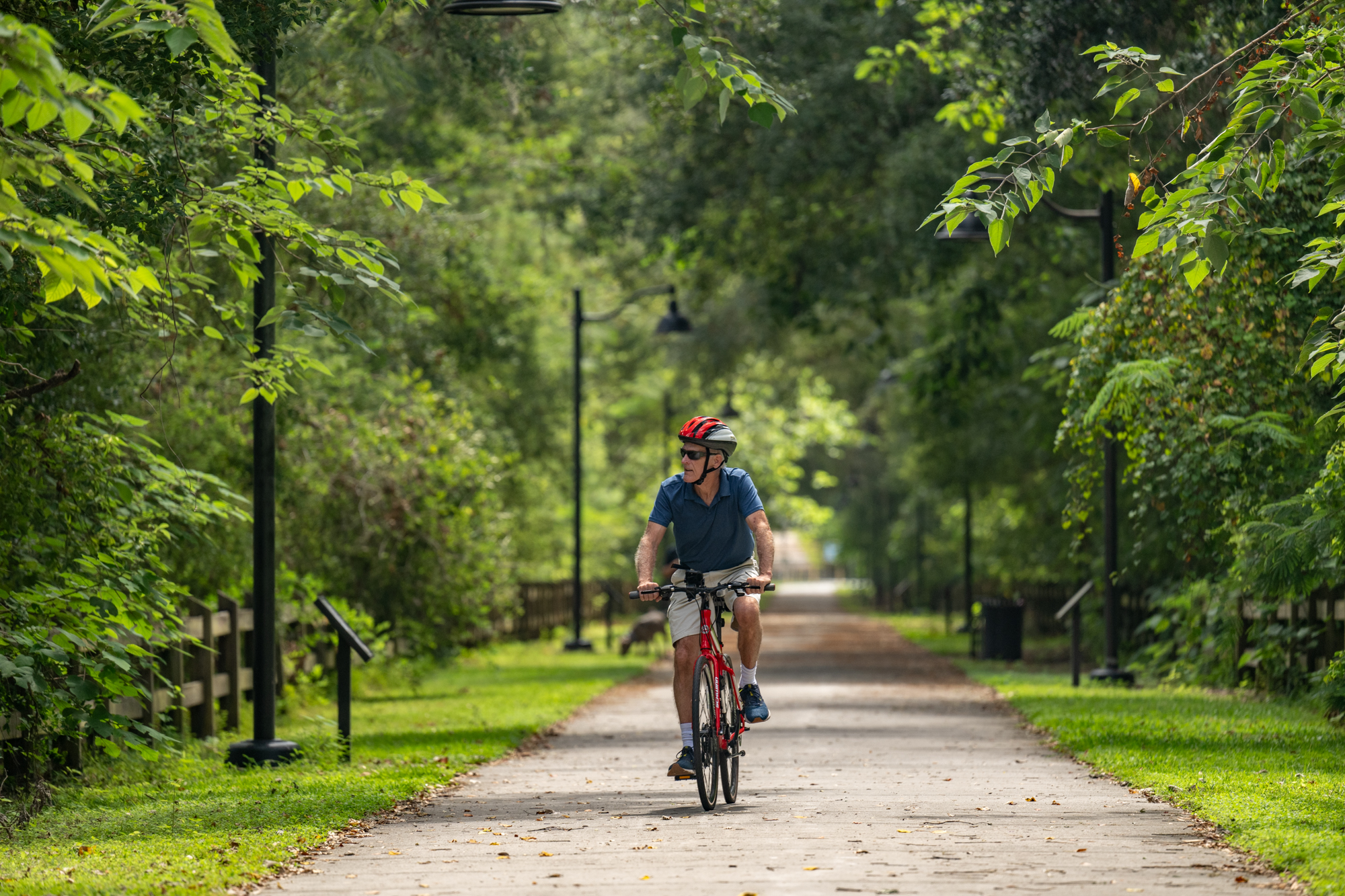 A cyclist wearing a helmet rides a red bike on a paved path through a lush, green forest in Suwannee County, Florida.